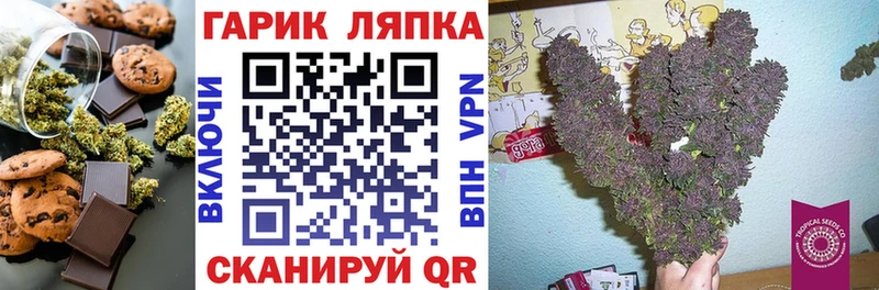 Купить закладки  Пудож  Печенье с ТГК марихуана 