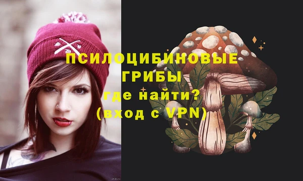 таблы Горнозаводск