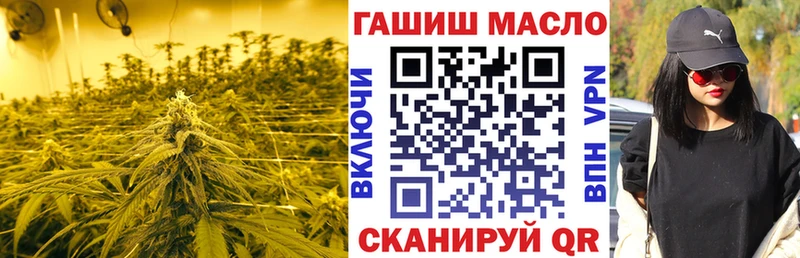 Купить где  Пудож  Дистиллят ТГК Wax 