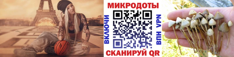 Купить закладки  Пудож  Галлюциногенные грибы мицелий 